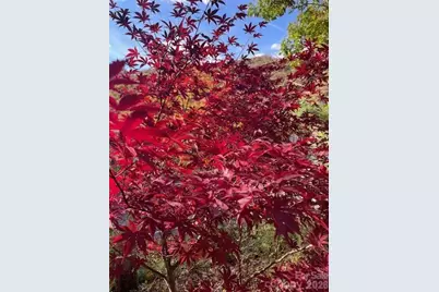 271 Wiggins Road, Candler, NC 28715 - Photo 6