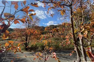 271 Wiggins Rd, Candler, NC 28715 - Photo 8