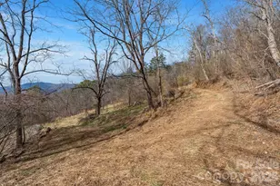 154 Wilson Dr, Canton, NC 28716 - Photo 28