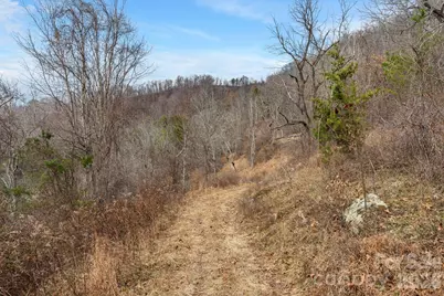 154 Wilson Drive, Canton, NC 28716 - Photo 32