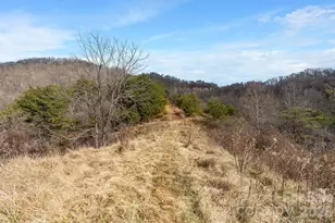 154 Wilson Dr, Canton, NC 28716 - Photo 38