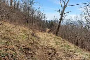 154 Wilson Dr, Canton, NC 28716 - Photo 30