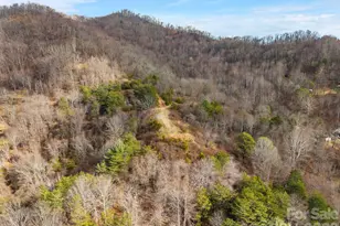 154 Wilson Dr, Canton, NC 28716 - Photo 12