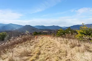 154 Wilson Dr, Canton, NC 28716 - Photo 34