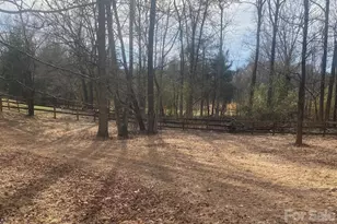 3205 Collinsville Rd, Columbus, NC 28722 - Photo 34