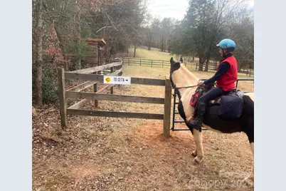 3205 Collinsville Road, Columbus, NC 28722 - Photo 40