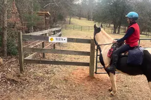 3205 Collinsville Rd, Columbus, NC 28722 - Photo 40