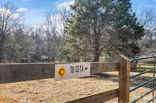 3205 Collinsville Rd, Columbus, NC 28722 - Photo 6