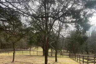 3205 Collinsville Rd, Columbus, NC 28722 - Photo 32