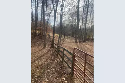 3205 Collinsville Road, Columbus, NC 28722 - Photo 10