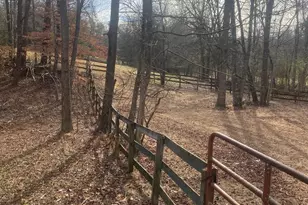 3205 Collinsville Rd, Columbus, NC 28722 - Photo 10