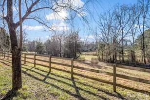 3205 Collinsville Rd, Columbus, NC 28722 - Photo 38