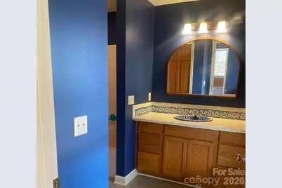 3205 Collinsville Road, Columbus, NC 28722 - Photo 30