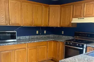 3205 Collinsville Rd, Columbus, NC 28722 - Photo 20