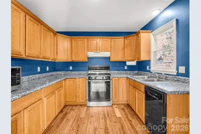 3205 Collinsville Road, Columbus, NC 28722 - Photo 10