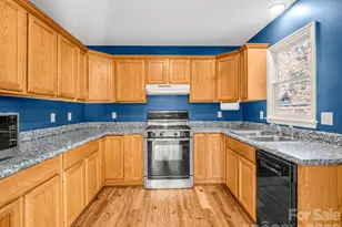 3205 Collinsville Rd, Columbus, NC 28722 - Photo 10