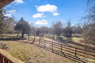 3205 Collinsville Rd, Columbus, NC 28722 - Photo 22