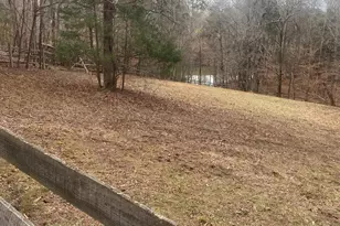 3205 Collinsville Rd, Columbus, NC 28722 - Photo 36