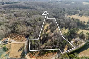 3205 Collinsville Rd, Columbus, NC 28722 - Photo 46