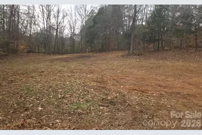 3205 Collinsville Road, Columbus, NC 28722 - Photo 36