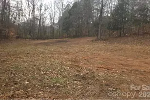 3205 Collinsville Rd, Columbus, NC 28722 - Photo 36