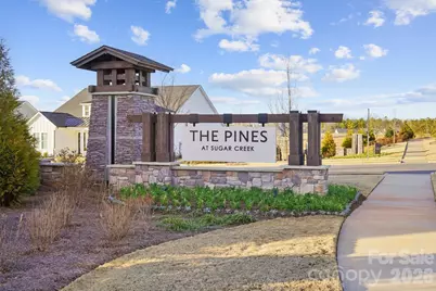1075 Pinecone Avenue, Indian Land, SC 29707 - Photo 28