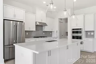 1075 Pinecone Ave, Indian Land, SC 29707 - Photo 10