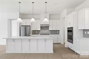 1075 Pinecone Ave, Indian Land, SC 29707 - Photo 4