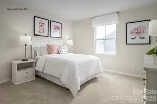 205 Iris Ct, Pageland, SC 29728 - Photo 8