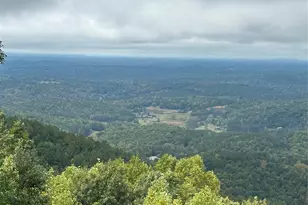 206 Amelia Ln, Bostic, NC 28018 - Photo 12