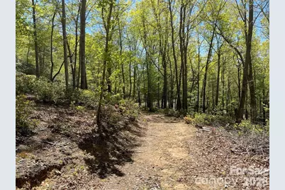 000 Orchard View Trail #11, Spruce Pine, NC 28777 - Photo 10