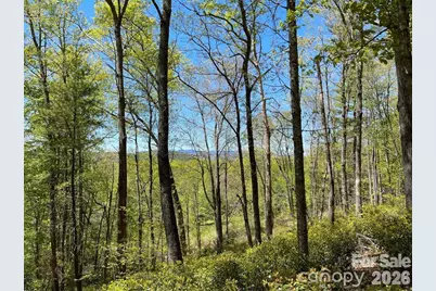 000 Orchard View Trail #11, Spruce Pine, NC 28777 - Photo 2