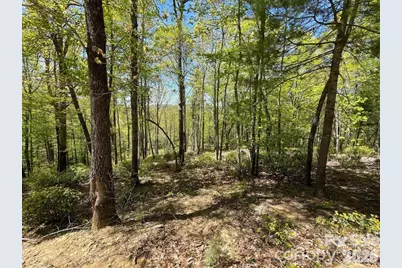 000 Orchard View Trail #11, Spruce Pine, NC 28777 - Photo 8