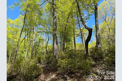 000 Orchard View Trail #11, Spruce Pine, NC 28777 - Photo 12