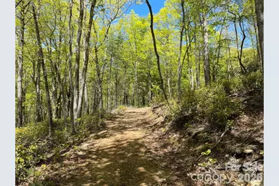 000 Orchard View Trail #11, Spruce Pine, NC 28777 - Photo 14