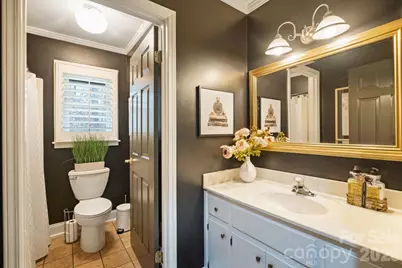 809 Creek Bluff Road, Rock Hill, SC 29732 - Photo 32