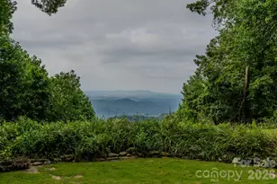 42 Wild Magnolia Way, Zirconia, NC 28790 - Photo 28