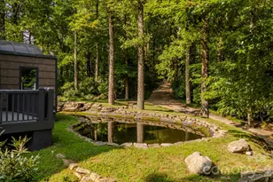 42 Wild Magnolia Way, Zirconia, NC 28790 - Photo 46