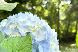 1164 Hidden Lake Dr, Granite Falls, NC 28630 - Photo 40