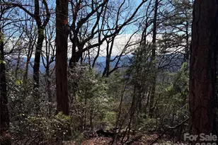 Tbd Bobcat Mountain Rd, Purlear, NC 28665 - Photo 1