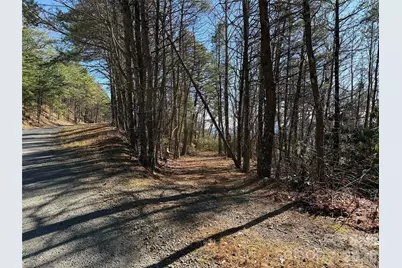 Tbd Bobcat Mountain Road #27, Purlear, NC 28665 - Photo 4