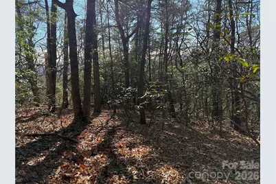 Tbd Bobcat Mountain Road #27, Purlear, NC 28665 - Photo 14