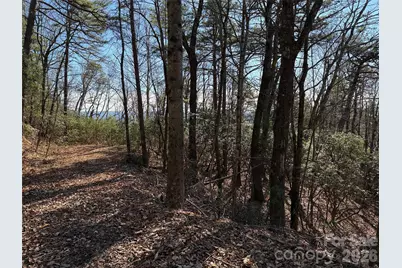 Tbd Bobcat Mountain Road #27, Purlear, NC 28665 - Photo 6
