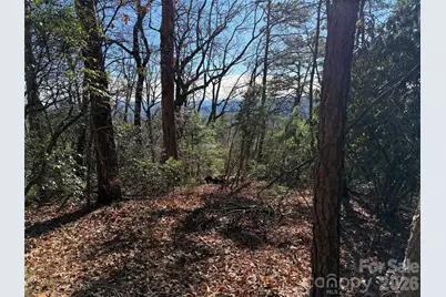 Tbd Bobcat Mountain Road #27, Purlear, NC 28665 - Photo 8