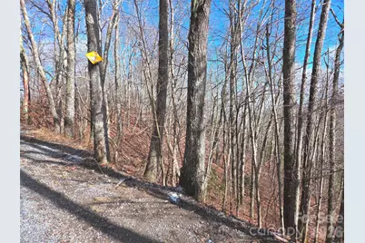 220 Sky Drive #PT-11, Maggie Valley, NC 28751 - Photo 18