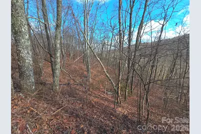 220 Sky Drive #PT-11, Maggie Valley, NC 28751 - Photo 6