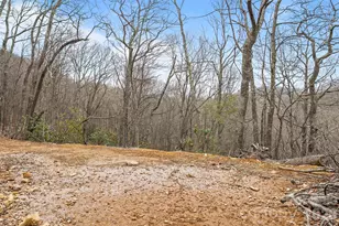 1480 Odalu Trail, Maggie Valley, NC 28751 - Photo 10