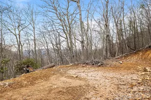 1480 Odalu Trail, Maggie Valley, NC 28751 - Photo 6