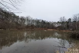 917 Shearer St, Davidson, NC 28036 - Photo 16