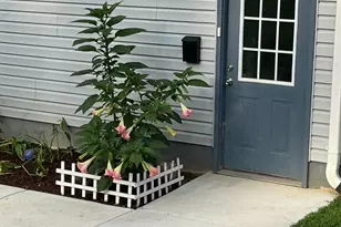 240 Eldon Ln, Salisbury, NC 28144 - Photo 8